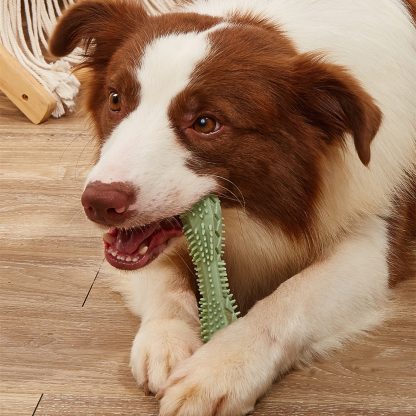 Dog Dental Chew Toy – Teeth Cleaning & Interactive Treat Toy