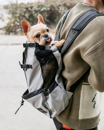 Pet Carrier Backpack for Dogs