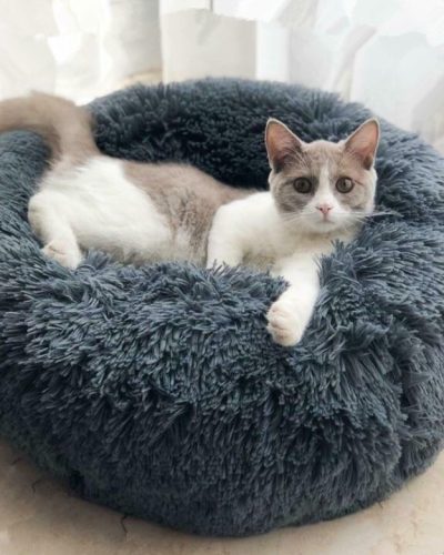 Cozy Round Dog Sofa Bed