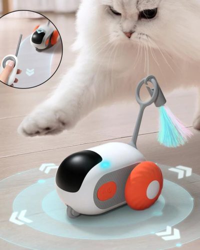 Smart Cat Car - Better Than Indestructible Dog Chew Toys