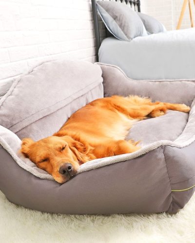 Cozy Dog Sofa Bed