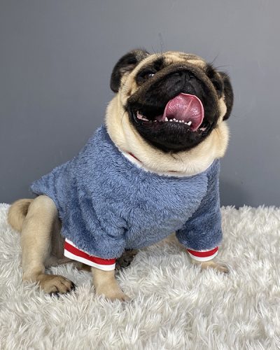 Cute Dog Hoodies for Pets