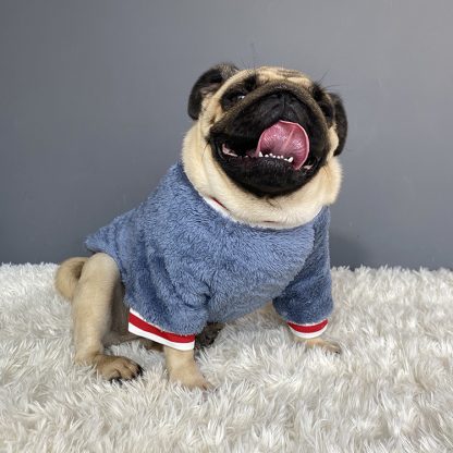 Cute Dog Hoodies for Pets