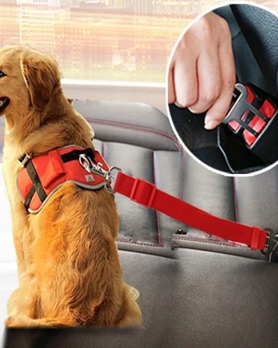 Dog Seat Belt for Car: Retractable Dog Leash Alternative
