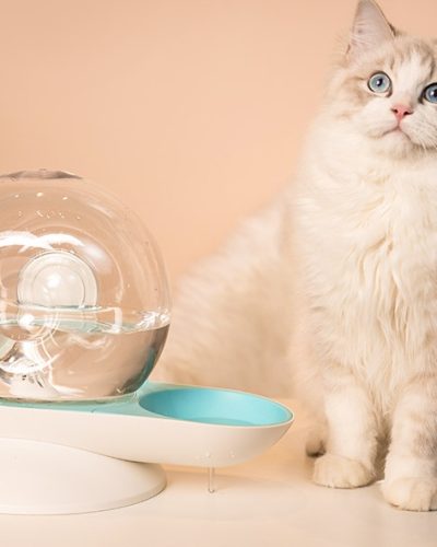 Cat Drinking Fountain Automatic Water Dispenser