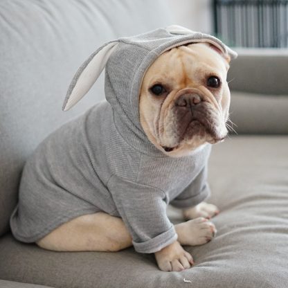 Dog Clothing For Autumn