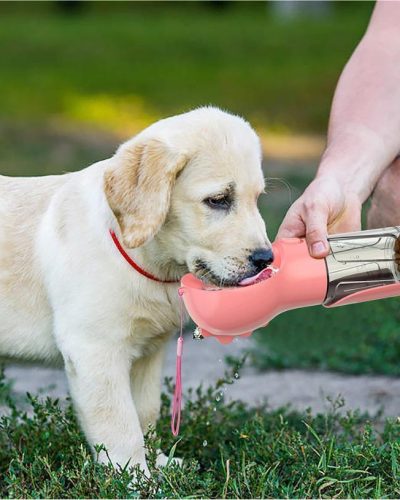 Portable Dog Water Dispenser