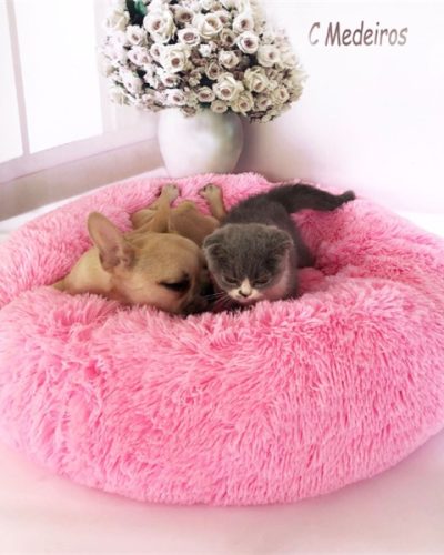 Pink Fluffy Dog Sofa Bed