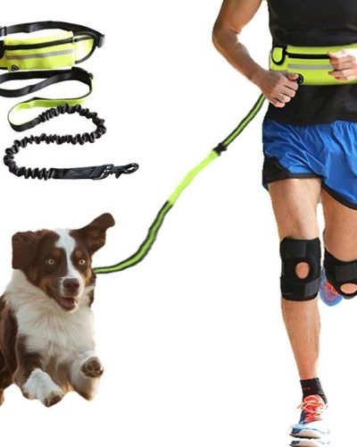 Hands-Free Dog Leash – Running Belt with Bungee & Pockets