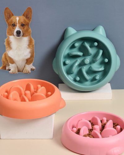 Anti Spill Dog Water Bowl Alternative: Dog Slow Feeder Bowl