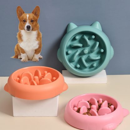 Anti Spill Dog Water Bowl Alternative: Dog Slow Feeder Bowl