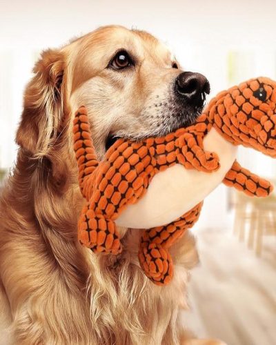 Giant Dinosaur Squeaky Plush Dog Toy