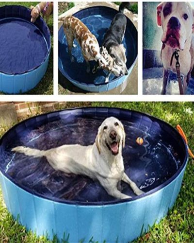 Foldable Pet Pool: No Dog Shower Head Attachment Needed