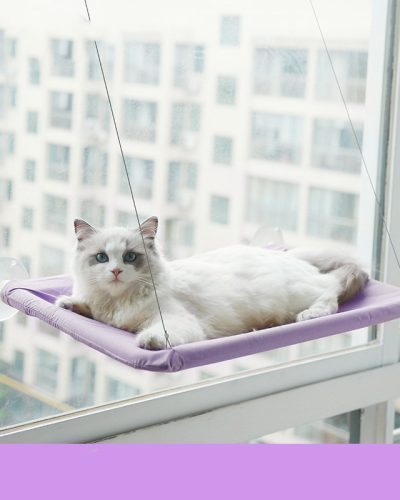 Cat Window Perch Suction Cup