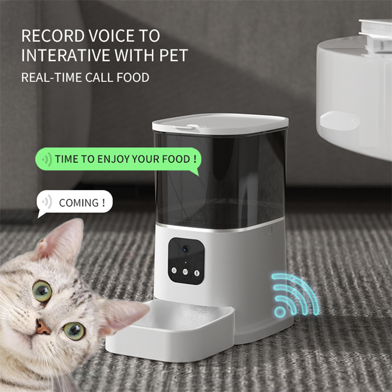 Best Automatic Cat Feeder: What to Buy (2026 Guide)
