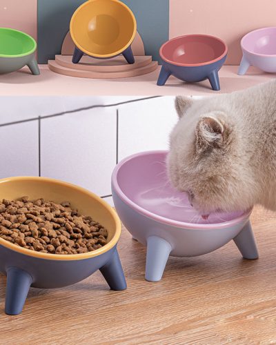 Elevated Cat & Dog Food Bowl with Stand – Angled Pet Feeding Bowl