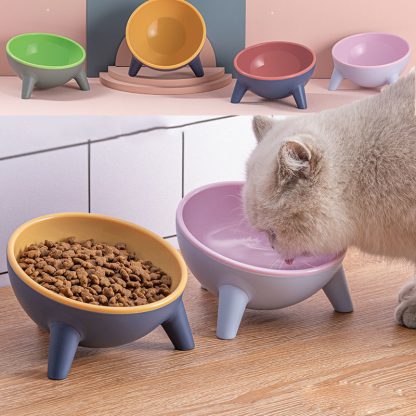 Elevated Cat & Dog Food Bowl with Stand – Angled Pet Feeding Bowl