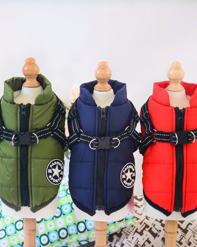 Waterproof Dog Raincoat for Cold Weather
