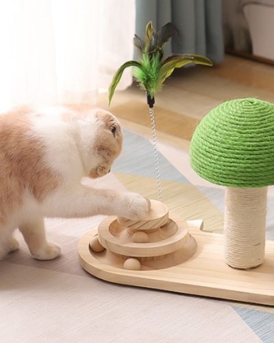 Cat Toy with Sisal Post