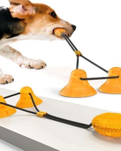 Suction Cup Dog Toy – Interactive Tug & Dental Chew Toy
