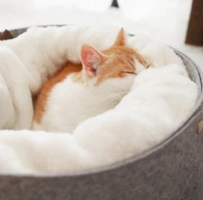 Cozy Cat Bed with Detachable Nest – Enclosed Pet Bed for Cats & Small Pets
