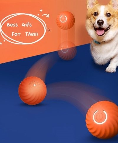 Interactive Dog Toys Bouncy Ball