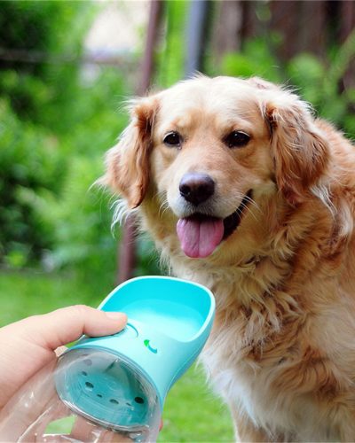 Portable Dog Water Dispenser for Outdoor Walks