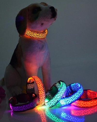 LED Dog Collar Safety Adjustable Nylon Leopard Pet Collar
