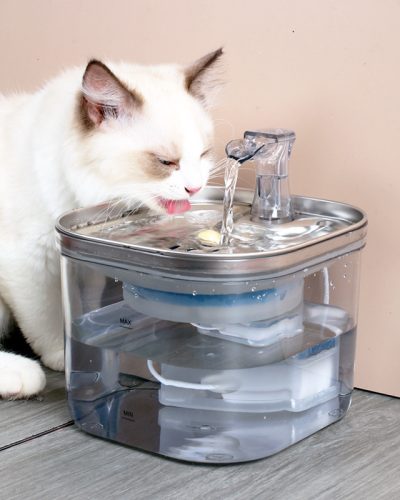 Stainless Steel Pet Water Fountain for Cats & Dogs