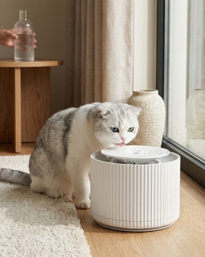 Cat Water Fountain