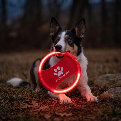 Glowing Dog Flying Disc