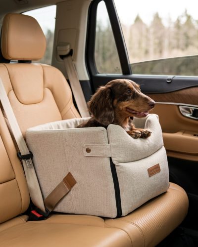 Comfortable car seat for pets