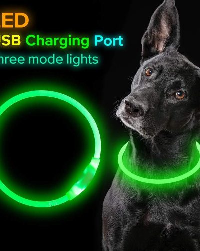 Bright Rechargeable LED Dog Collar for Safe Night Walks