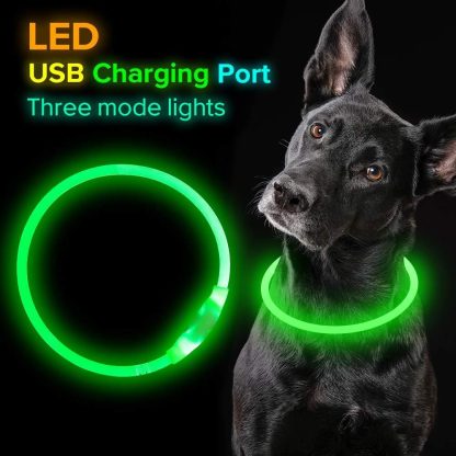Bright Rechargeable LED Dog Collar for Safe Night Walks