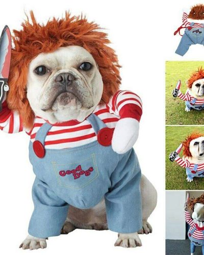 Funny Halloween Pet Costume (Not a Waterproof Dog Raincoat)