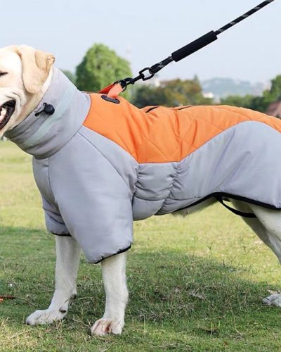 Waterproof Dog Raincoat and Warm Winter Coat