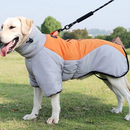 Waterproof Dog Raincoat and Warm Winter Coat