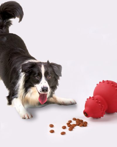Durable Rubber Treat-Dispensing Dog Toy – Interactive Chew & Puzzle Toy