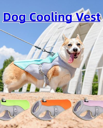 Mesh Dog Harness for Small Dogs & Cooling Vest