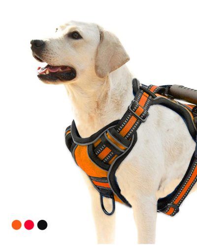 No-Pull Reflective Dog Harness – Breathable, Comfortable Fit