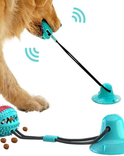 Interactive Suction Cup Toys for Playful Dogs