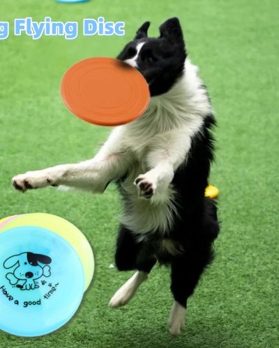 Durable Flying Disc Dog Toy for Fetch & Outdoor Play