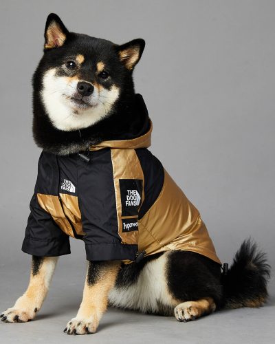 Waterproof Dog Raincoat Metallic Pet Jacket