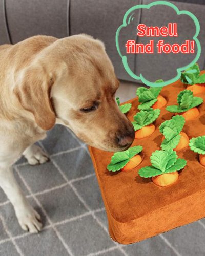 Carrot Plush Dog Toy for Chewing, Sniffing & Enrichment