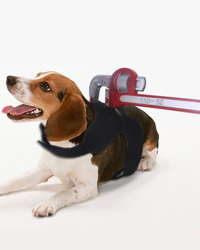Funny Halloween Pet Costume – Novelty Costume for Dogs & Cats