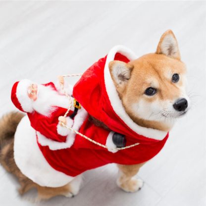 Christmas Elf Dog Sweater – Festive Holiday Pet Costume