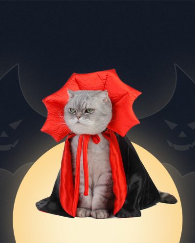 Vampire King Dog Cape – Black Halloween Pet Costume