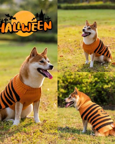 Halloween Dog Sweater – Cozy Pet Costume for Fall & Winter