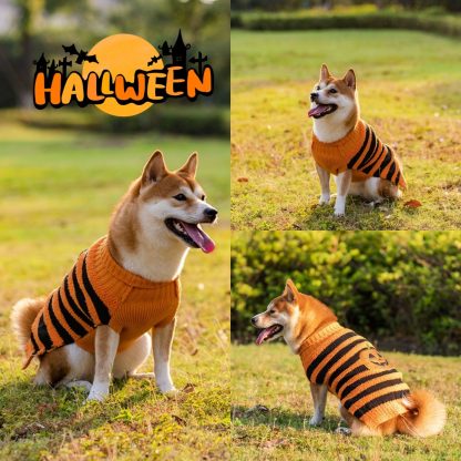 Halloween Dog Sweater – Cozy Pet Costume for Fall & Winter